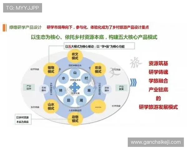 以民营企业家视角探索企业发展创新路径与社会责任双重驱动模式